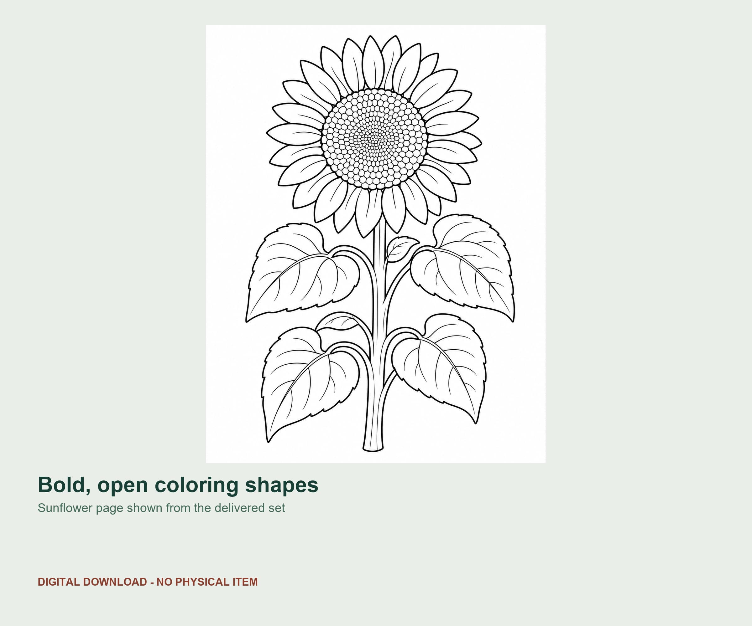 10 Bold Botanical Garden Coloring Pages preview 2