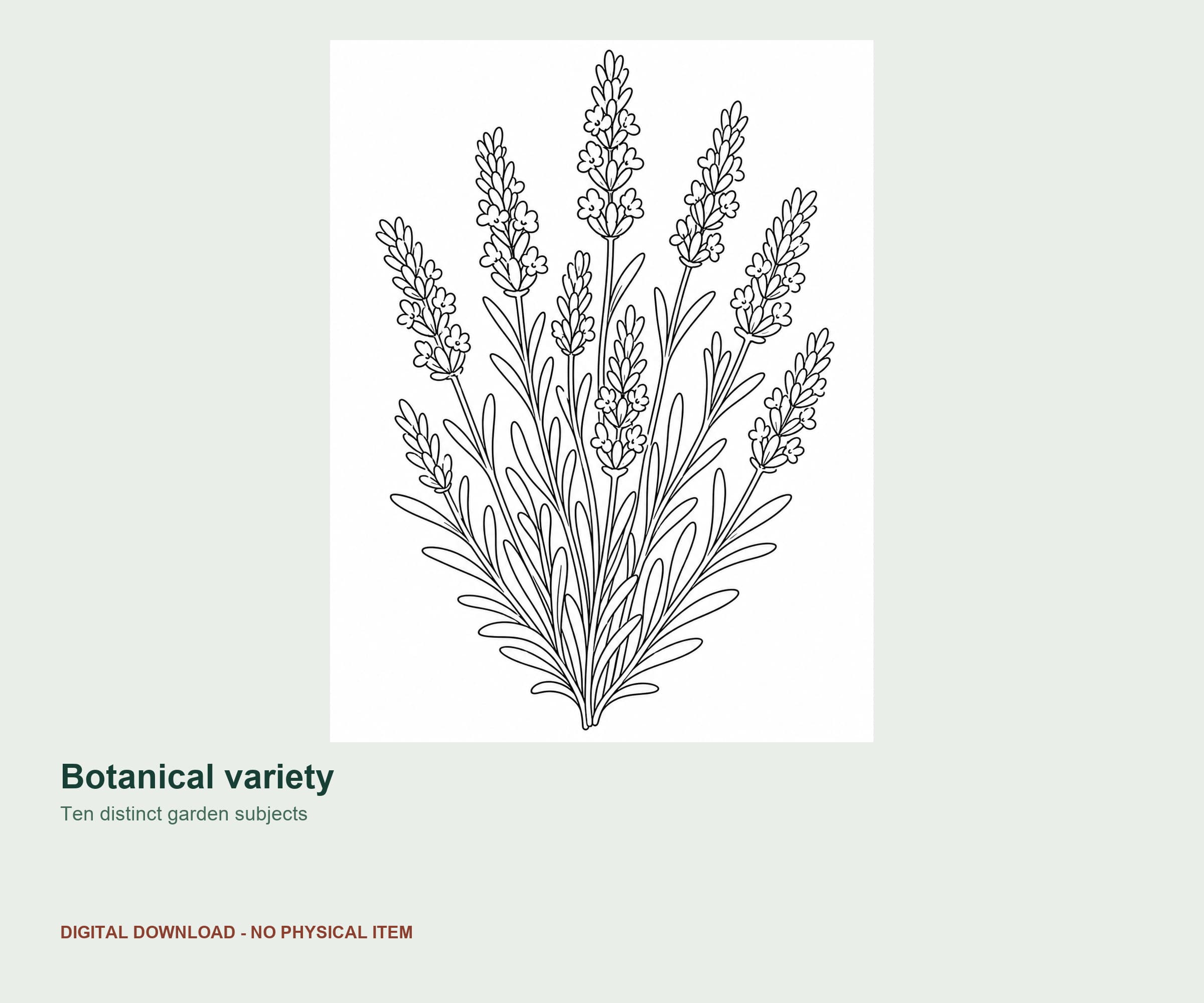 10 Bold Botanical Garden Coloring Pages preview 3