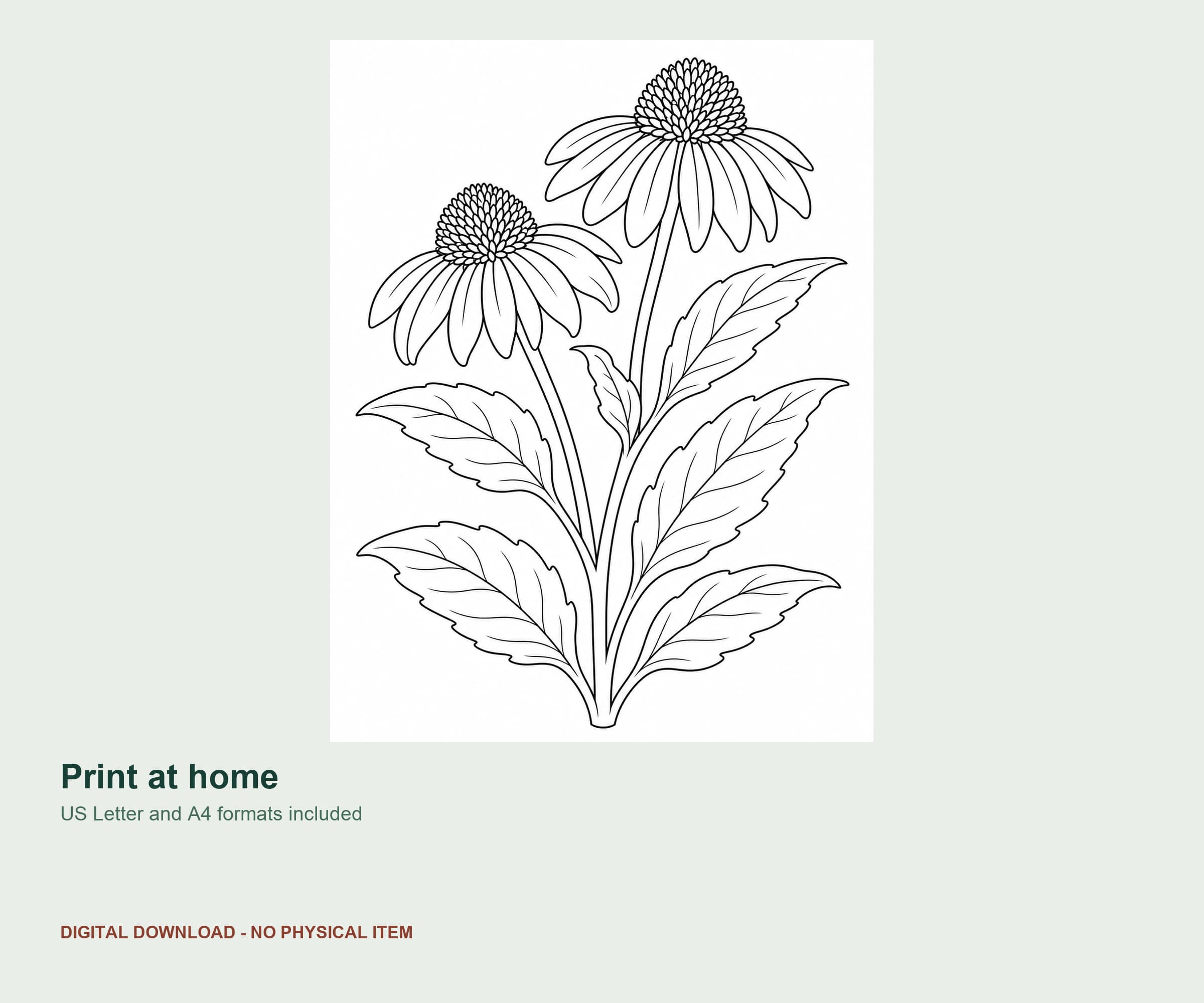 10 Bold Botanical Garden Coloring Pages preview 4