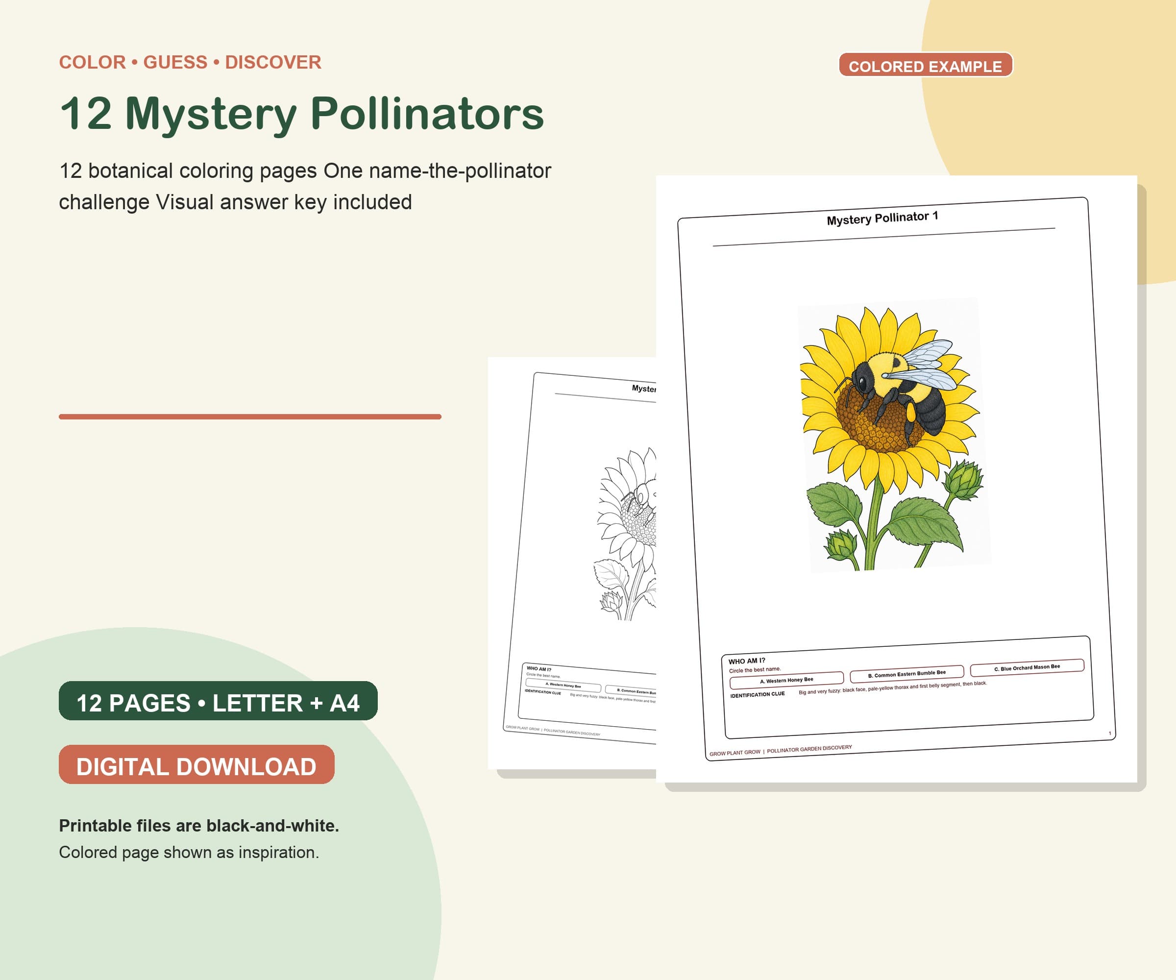 Mystery Pollinator Garden Coloring Pack