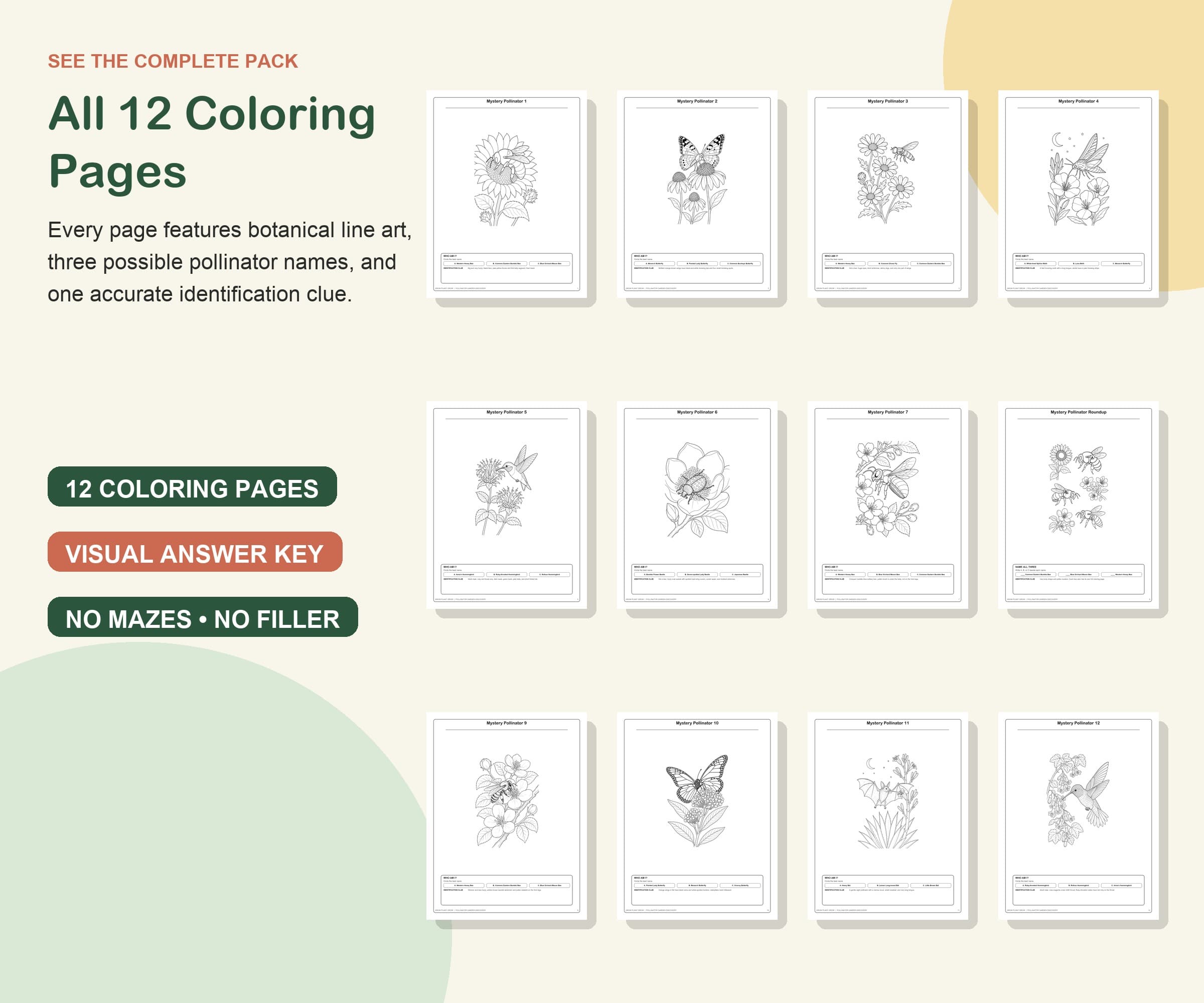 Mystery Pollinator Garden Coloring Pack preview 2