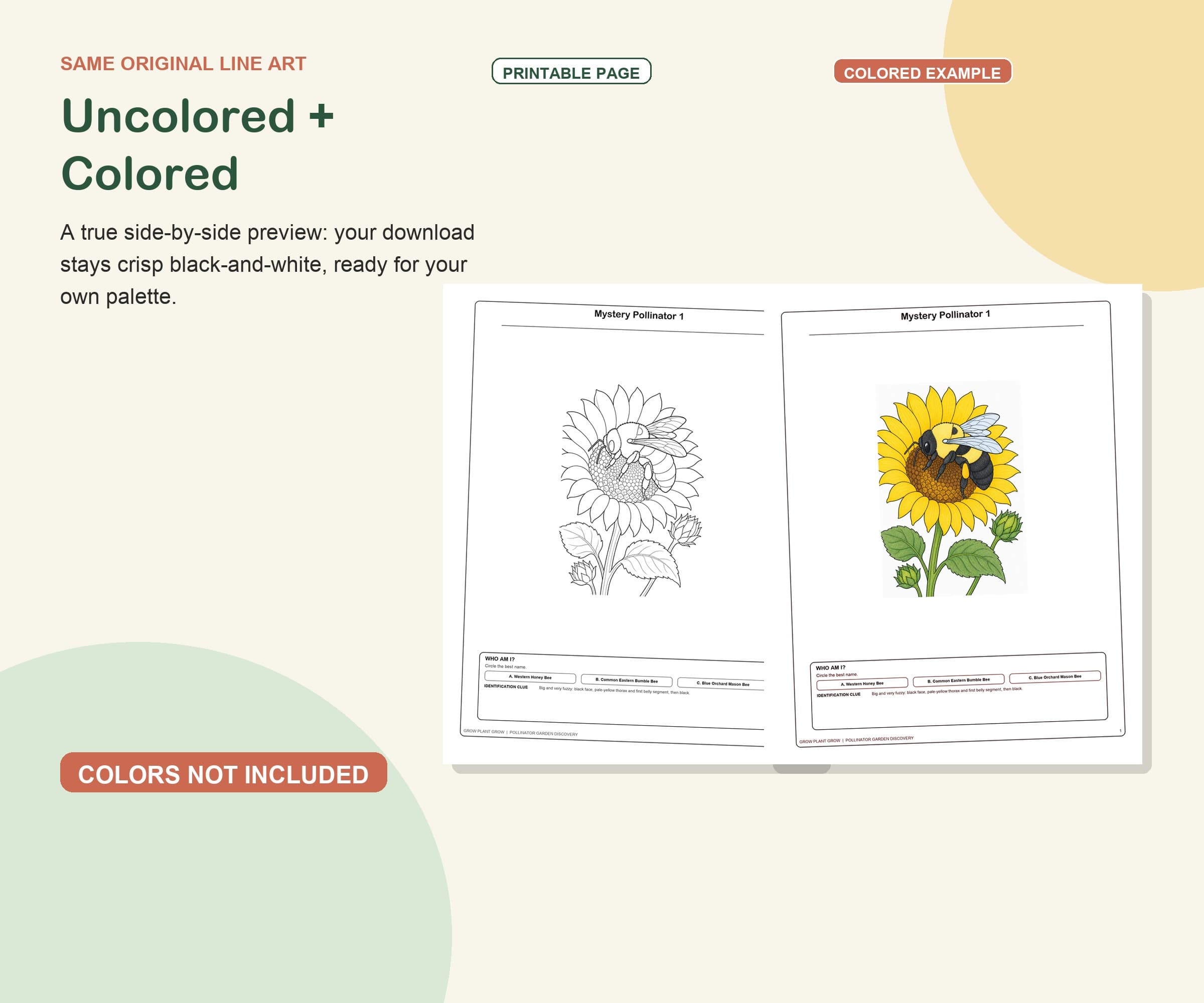 Mystery Pollinator Garden Coloring Pack preview 3