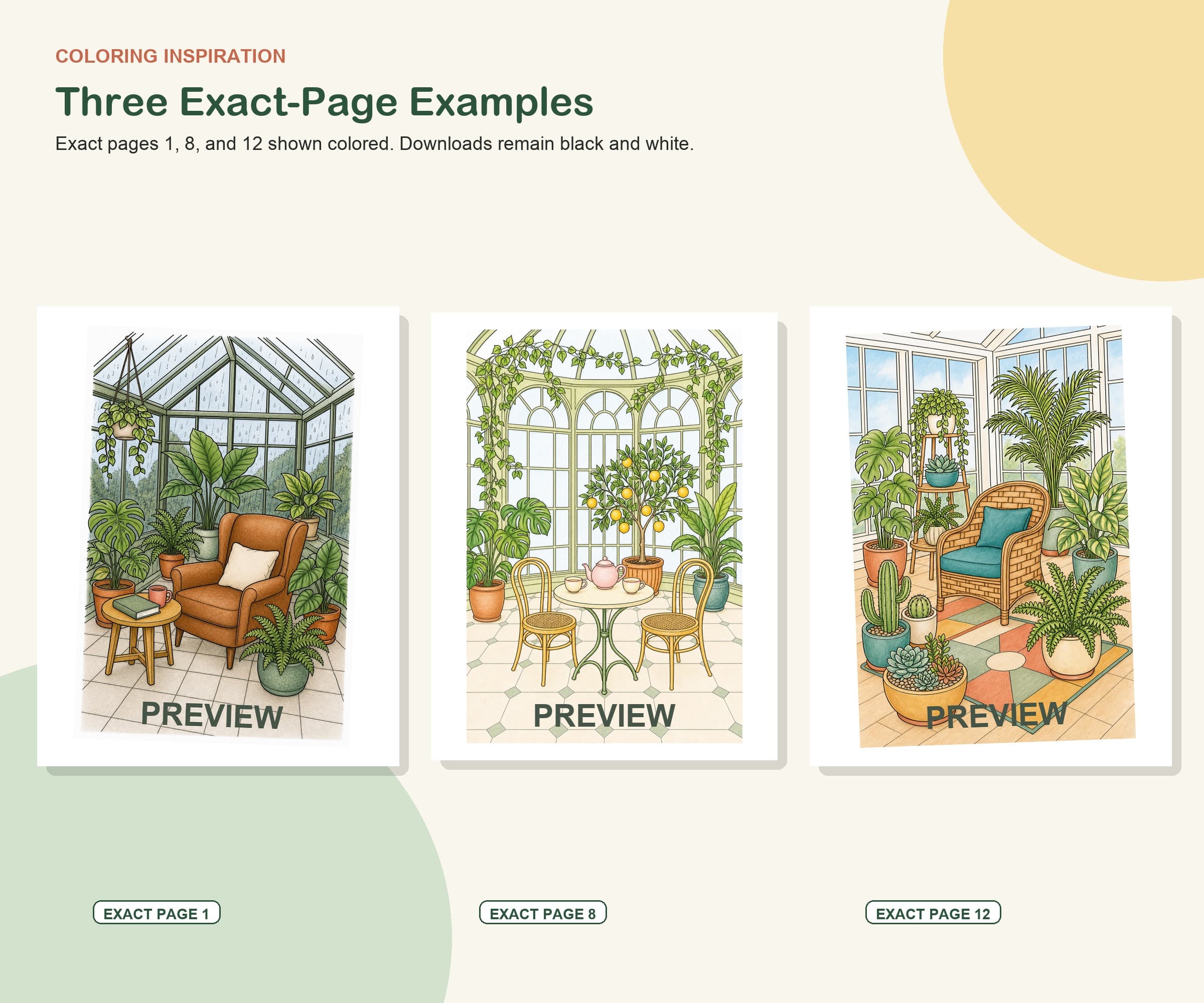 The Botanist's Study Coloring Pages preview 4